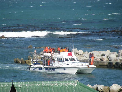 Sharky Holiday Home Franskraal Western Cape South Africa Boat, Vehicle, Beach, Nature, Sand, Cliff, Ship, Ocean, Waters