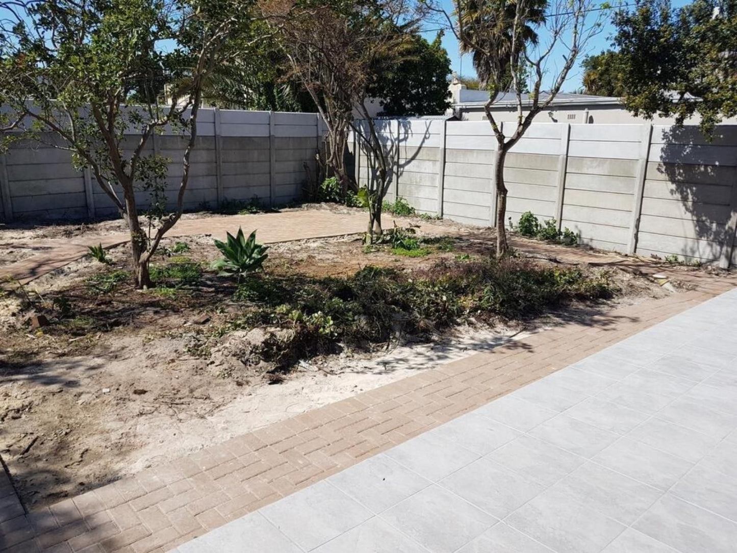 Sharon S House Panorama Cape Town Western Cape South Africa Palm Tree, Plant, Nature, Wood, Garden