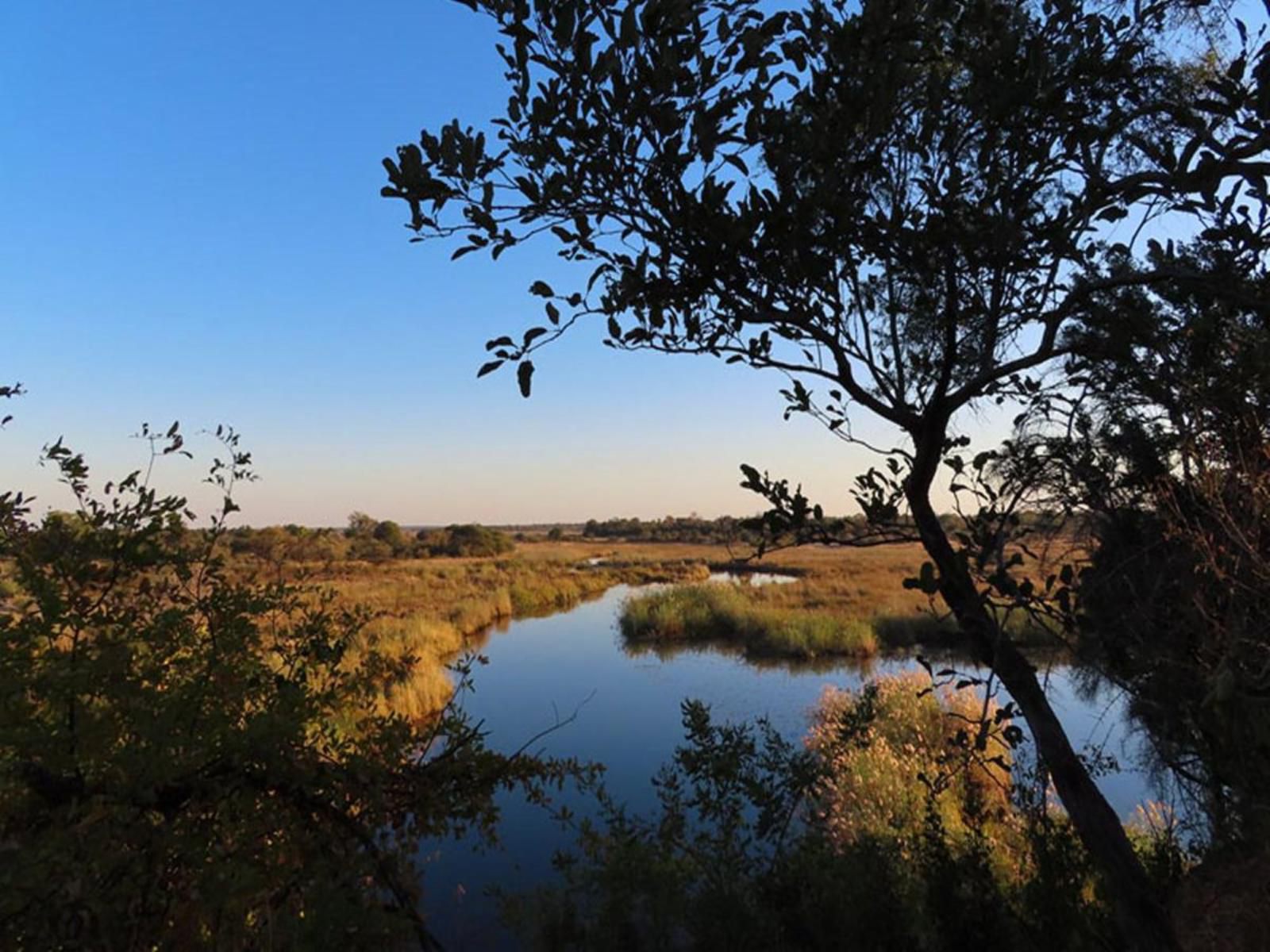 Sharwimbo Adventure Lodge, River, Nature, Waters, Tree, Plant, Wood, Lowland