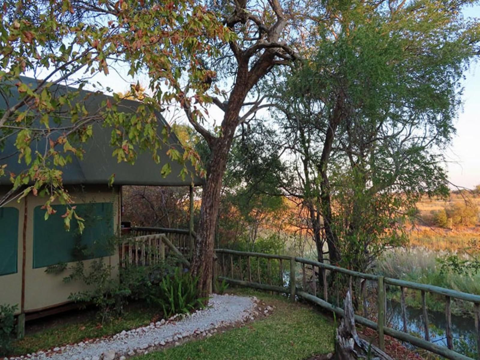 Sharwimbo Adventure Lodge, Tree, Plant, Nature, Wood