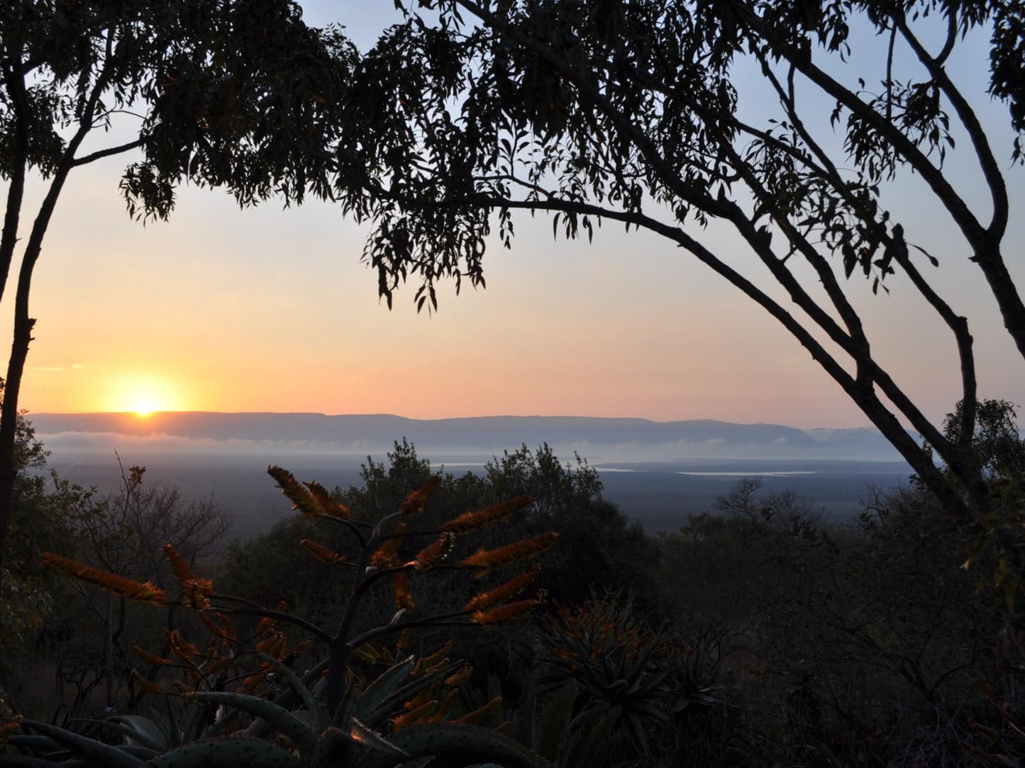 Shayamoya Tiger Fishing And Game Lodge Pongola Kwazulu Natal South Africa Sky, Nature, Tree, Plant, Wood, Sunset