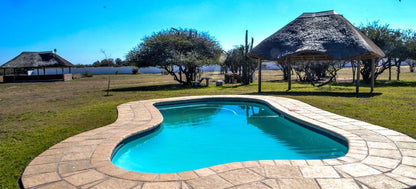 Sheerwalk Conference And Leisure Centre Wallmannsthal Ah Gauteng South Africa Complementary Colors, Palm Tree, Plant, Nature, Wood, Swimming Pool