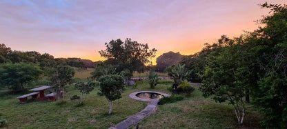 Shengeza Lake Lodge Kwangwanase Kwazulu Natal South Africa Palm Tree, Plant, Nature, Wood, Framing, Garden, Sunset, Sky