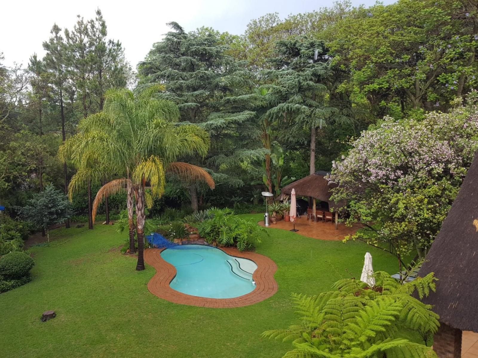 Shepherd Lodge Bryanston Johannesburg Gauteng South Africa Palm Tree, Plant, Nature, Wood, Garden