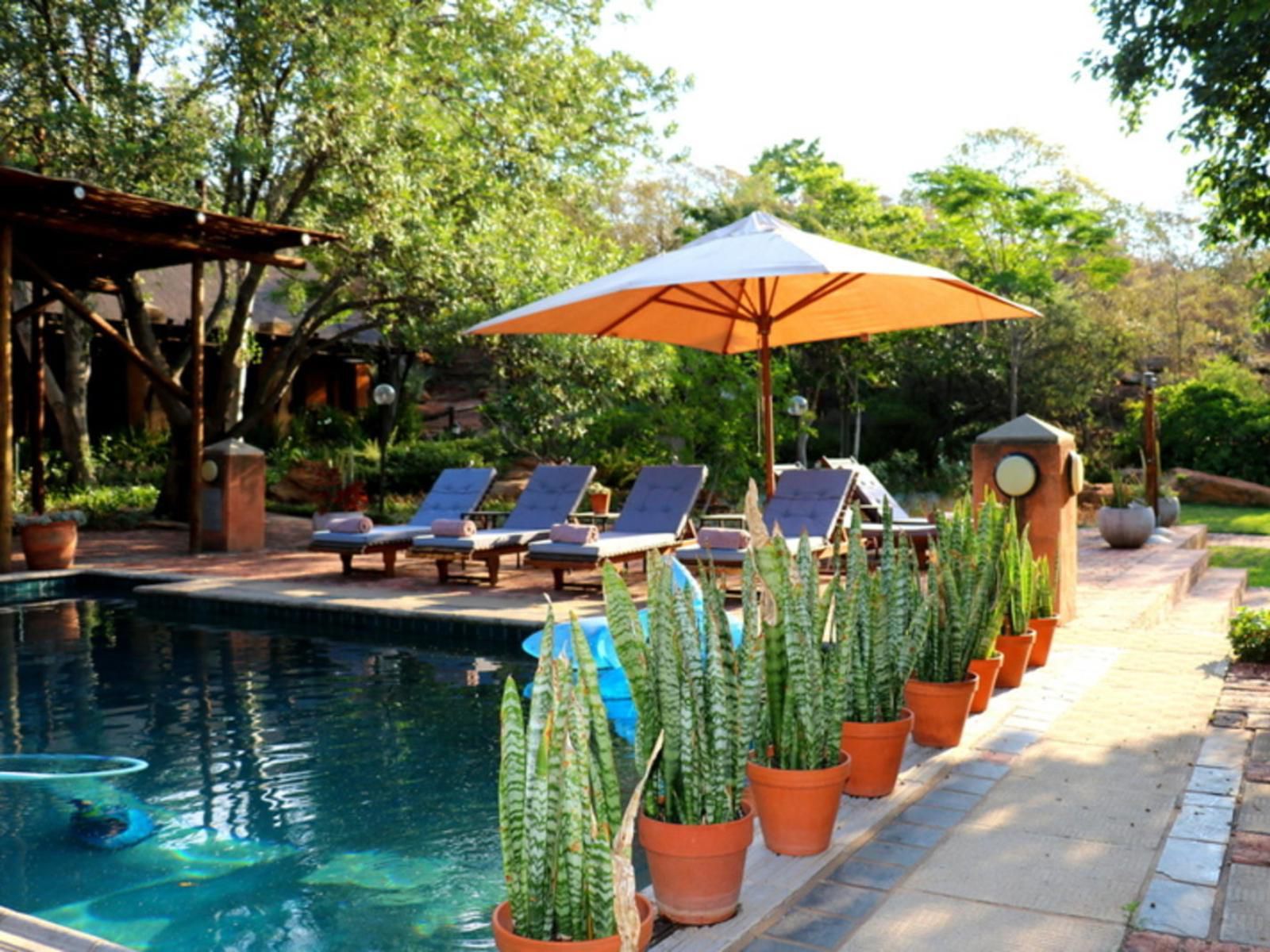 Sherewood Lodge Silver Lakes Pretoria Tshwane Gauteng South Africa Garden, Nature, Plant, Swimming Pool