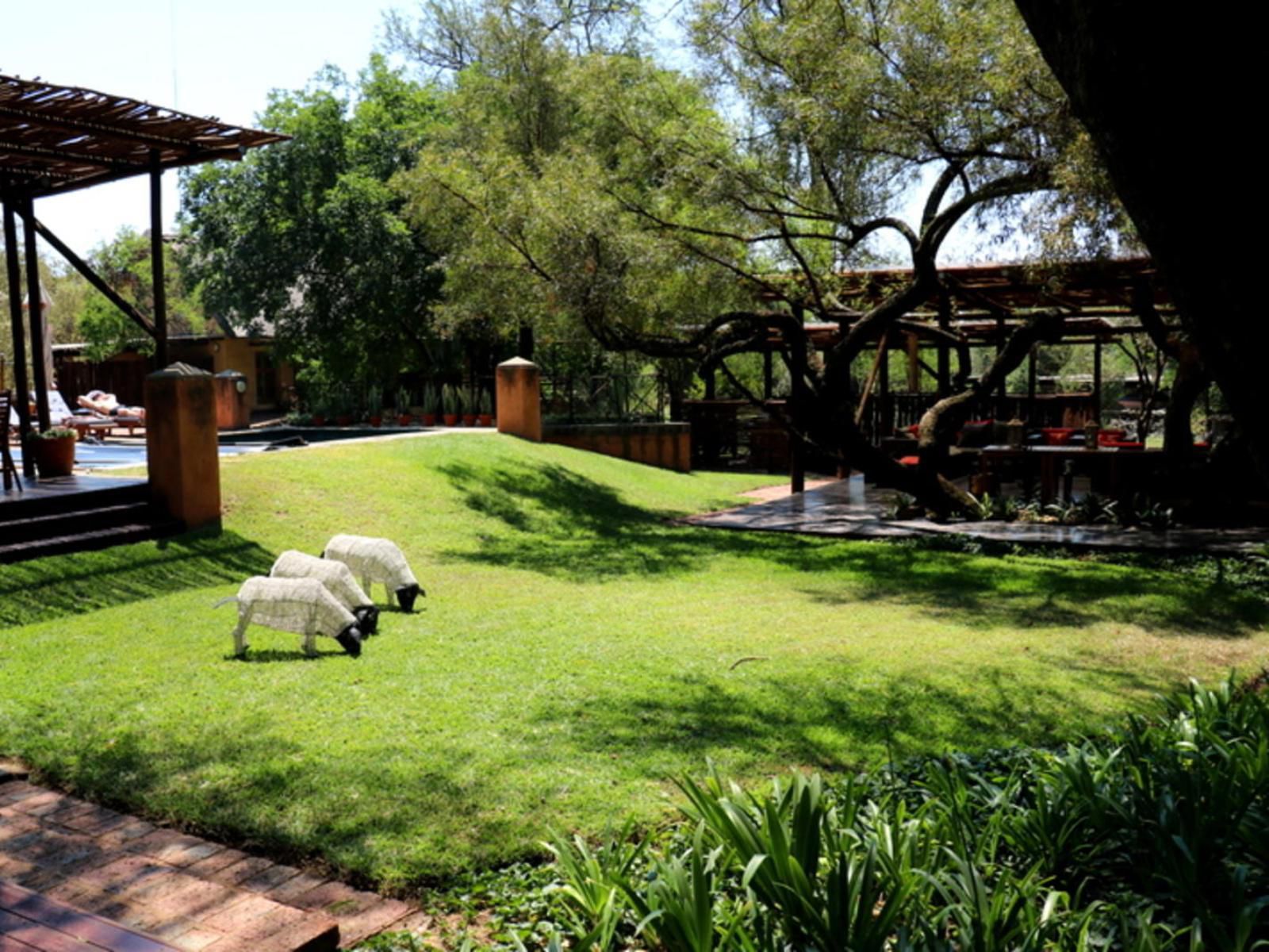 Sherewood Lodge Silver Lakes Pretoria Tshwane Gauteng South Africa Elephant, Mammal, Animal, Herbivore, Plant, Nature