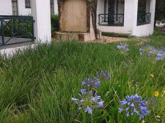 Sherwood S Country House Tzaneen Limpopo Province South Africa House, Building, Architecture, Plant, Nature, Garden