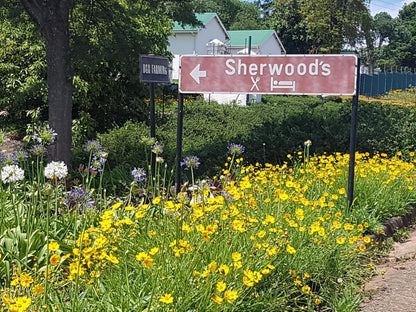 Sherwood S Country House Tzaneen Limpopo Province South Africa Daffodil, Flower, Plant, Nature, Meadow, Sign