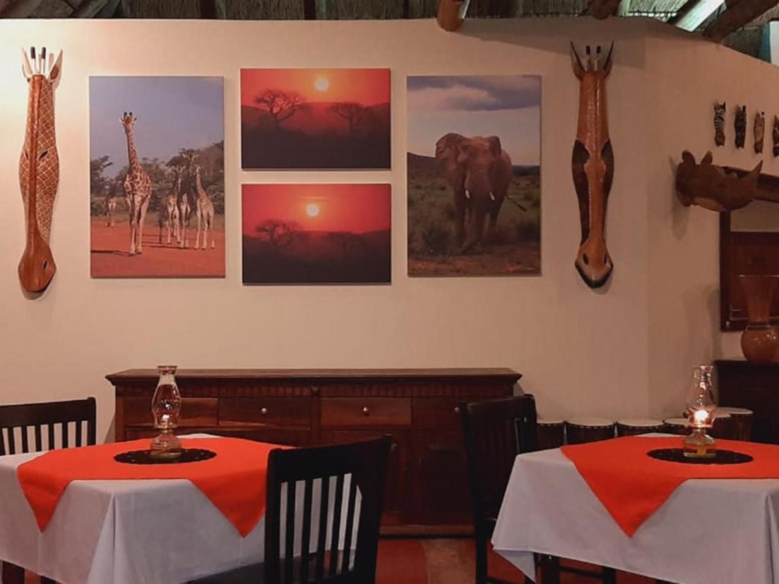 Shibula Solar Safari Lodge Welgevonden Game Reserve Limpopo Province South Africa Bar