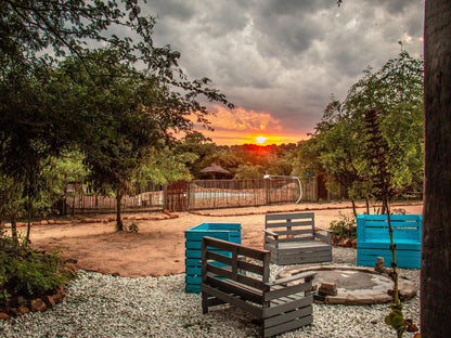 Shik Shack Backpackers, Garden, Nature, Plant