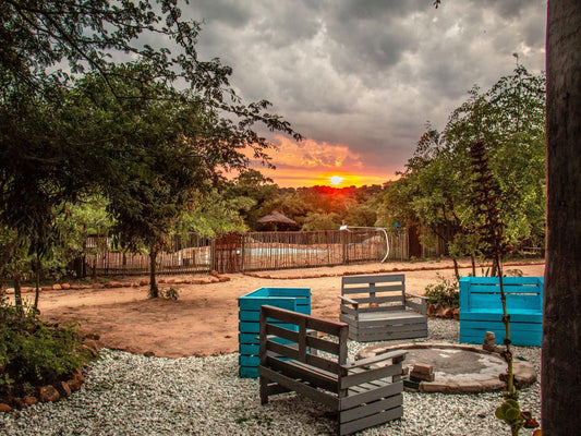 Shik Shack Backpackers, Garden, Nature, Plant