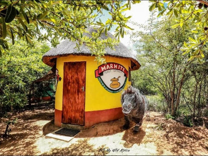 Shik Shack Thornybush Game Reserve Mpumalanga South Africa Chicken, Bird, Animal, Agriculture, Farm Animal