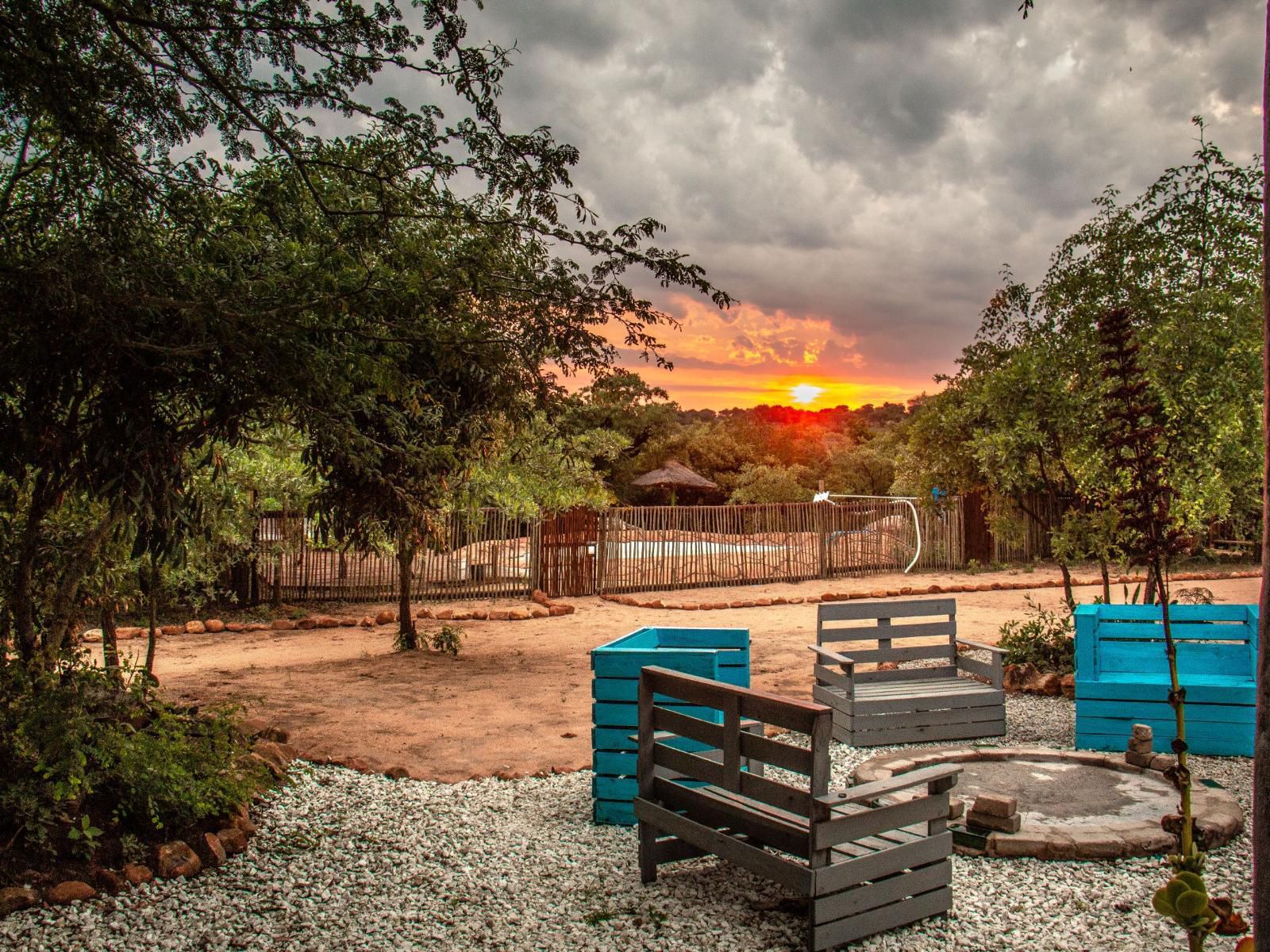 Shik Shack Thornybush Game Reserve Mpumalanga South Africa Garden, Nature, Plant