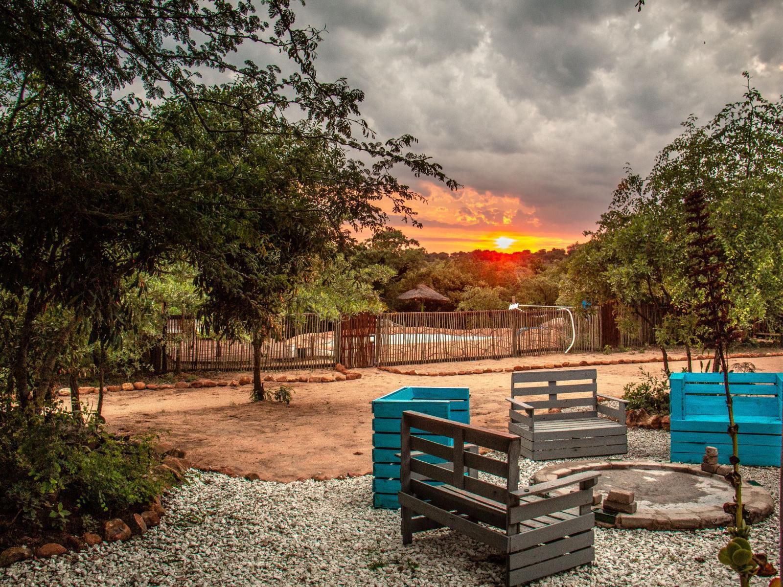 Shik Shack Thornybush Game Reserve Mpumalanga South Africa Garden, Nature, Plant, Sunset, Sky