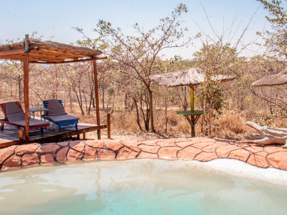 Shik Shack Thornybush Game Reserve Mpumalanga South Africa Swimming Pool