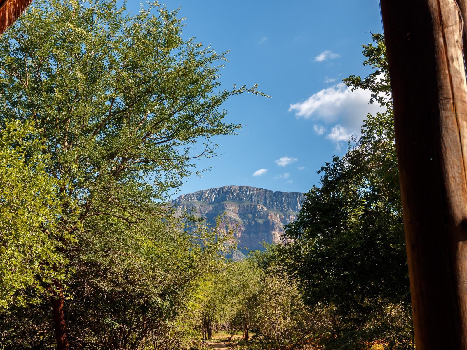 Shikwari Nature Reserve Hoedspruit Limpopo Province South Africa Complementary Colors, Nature