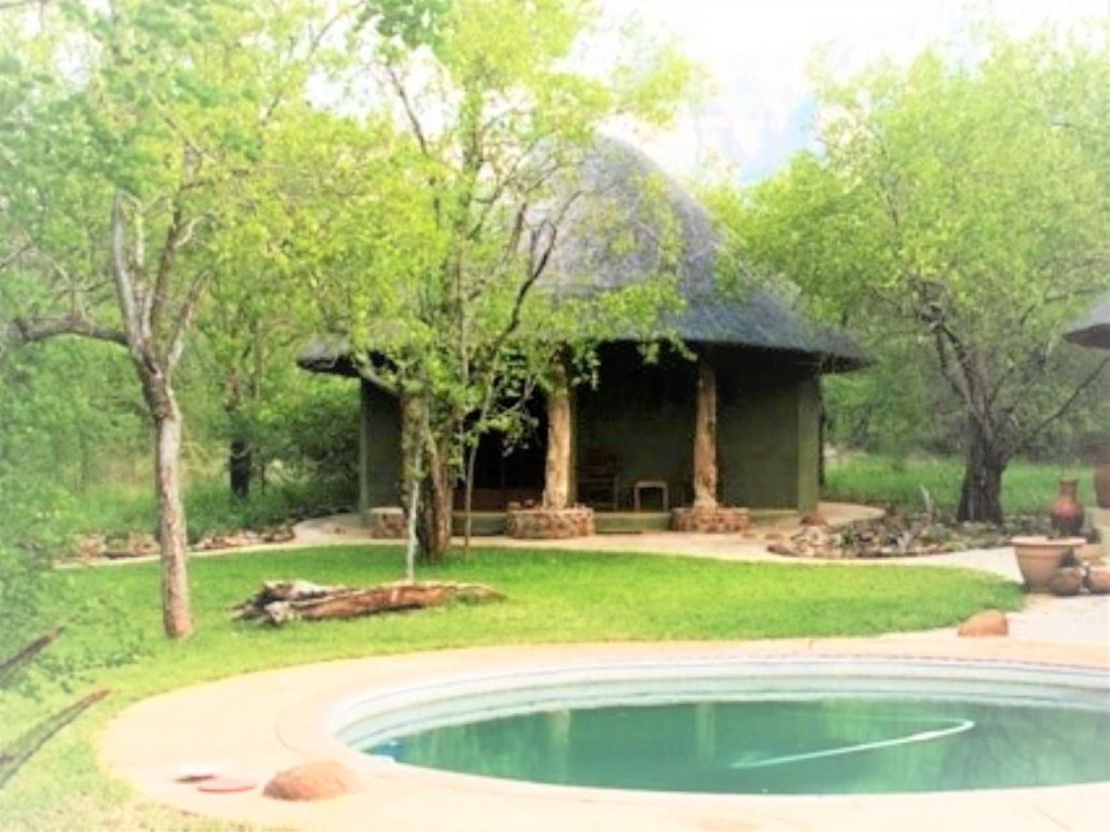 Shikwari Nature Reserve Hoedspruit Limpopo Province South Africa Swimming Pool