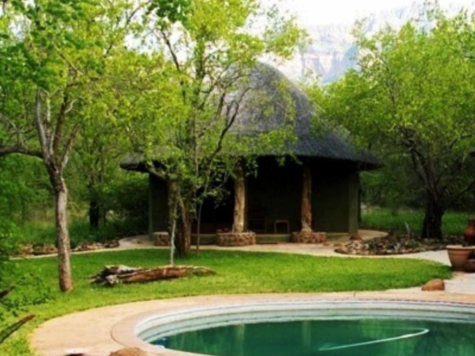 Shikwari Nature Reserve Hoedspruit Limpopo Province South Africa Garden, Nature, Plant, Swimming Pool