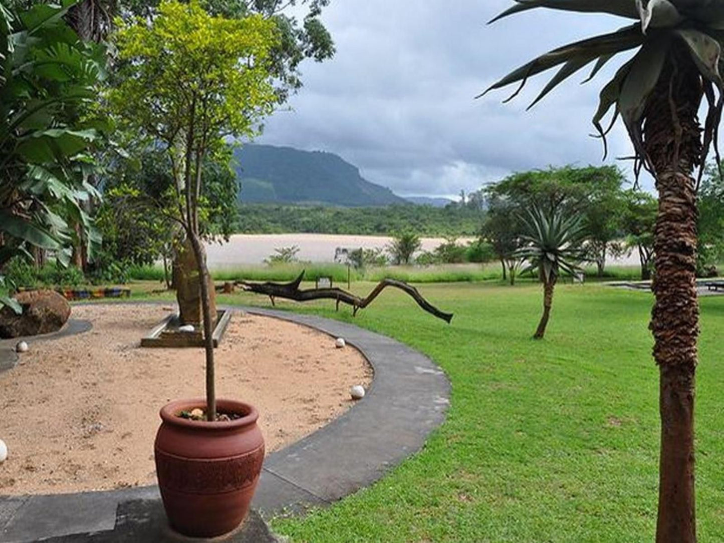 Shiluvari Lakeside Lodge, Palm Tree, Plant, Nature, Wood