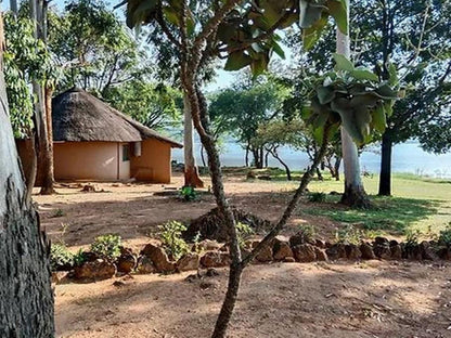 Shiluvari Lakeside Lodge, Island, Nature, Tree, Plant, Wood