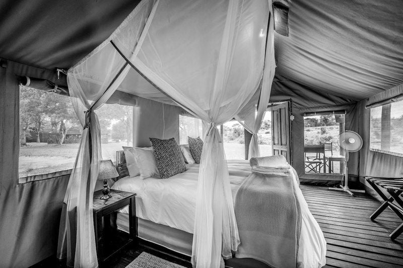 Shindzela Tented Safari Camp Timbavati Reserve Mpumalanga South Africa Colorless, Black And White, Tent, Architecture, Bedroom