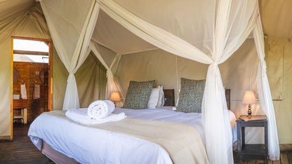 Shindzela Tented Safari Camp Timbavati Reserve Mpumalanga South Africa Tent, Architecture, Bedroom