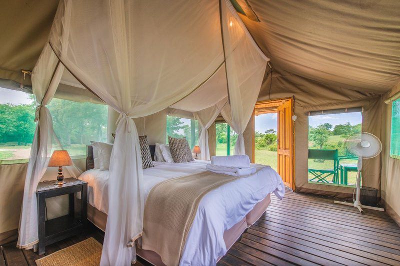 Shindzela Tented Safari Camp Timbavati Reserve Mpumalanga South Africa Tent, Architecture, Bedroom