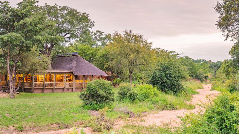 Shindzela Tented Safari Camp Timbavati Reserve Mpumalanga South Africa 