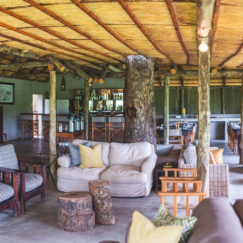 Shindzela Tented Safari Camp Timbavati Reserve Mpumalanga South Africa 