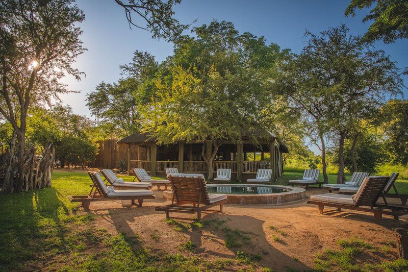 Shindzela Tented Safari Camp Timbavati Reserve Mpumalanga South Africa 