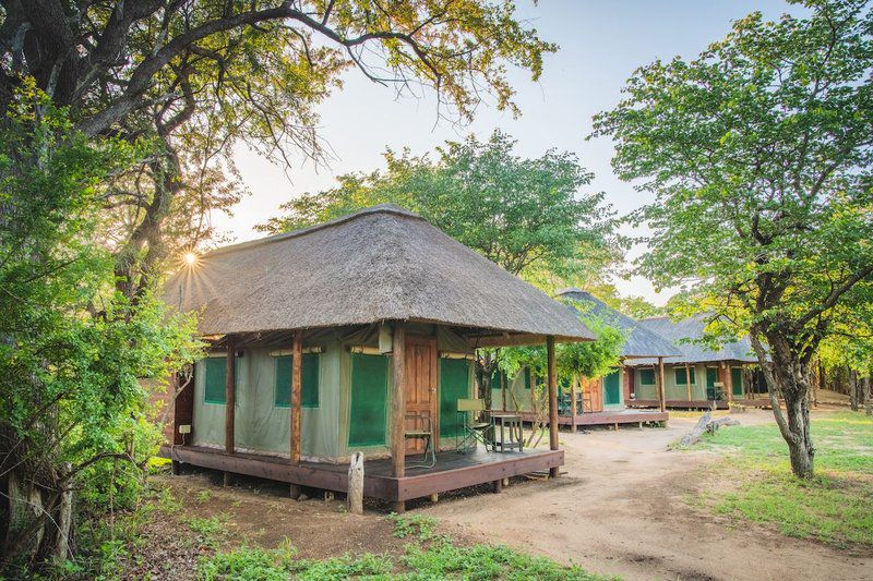 Shindzela Tented Safari Camp Timbavati Reserve Mpumalanga South Africa Building, Architecture