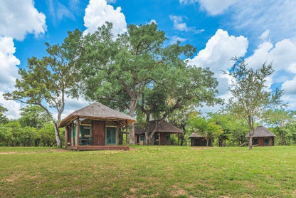 Shindzela Tented Safari Camp Timbavati Reserve Mpumalanga South Africa Complementary Colors