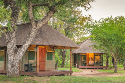 Shindzela Tented Safari Camp Timbavati Reserve Mpumalanga South Africa Building, Architecture