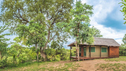 Shindzela Tented Safari Camp Timbavati Reserve Mpumalanga South Africa 