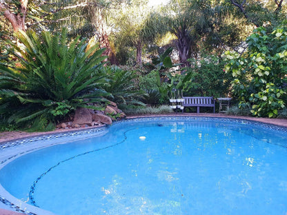 Shingalana Guest House Hazyview Mpumalanga South Africa Palm Tree, Plant, Nature, Wood, Garden, Swimming Pool