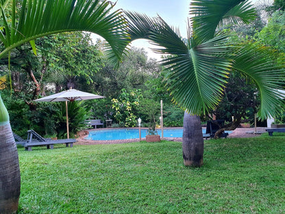 Shingalana Guest House Hazyview Mpumalanga South Africa Palm Tree, Plant, Nature, Wood, Swimming Pool