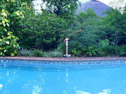Shingalana Guest House Hazyview Mpumalanga South Africa Colorful, Garden, Nature, Plant, Swimming Pool
