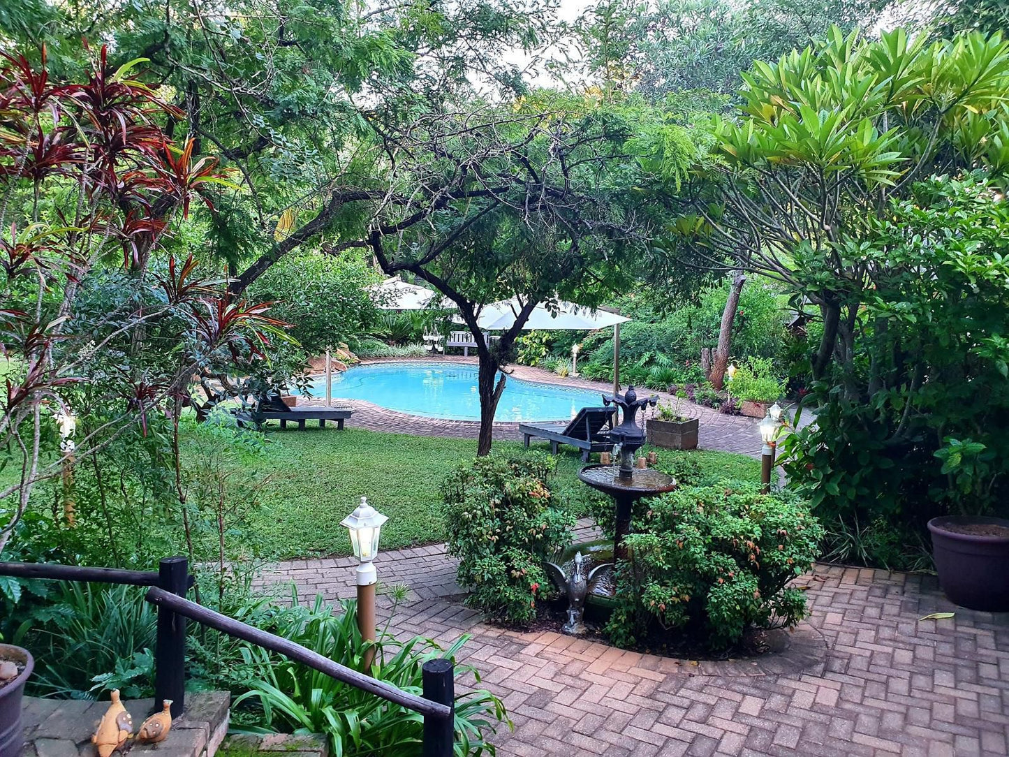 Shingalana Guest House Hazyview Mpumalanga South Africa Palm Tree, Plant, Nature, Wood, Garden, Swimming Pool