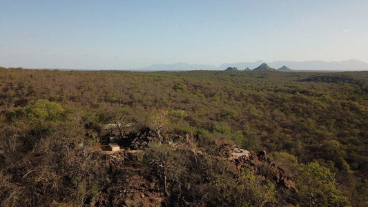 Shobi Private Game Reserve Hoedspruit Limpopo Province South Africa Cactus, Plant, Nature, Ruin, Architecture, Desert, Sand