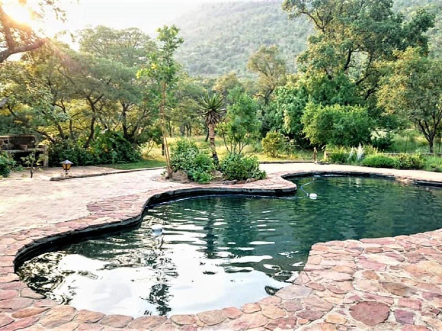 Shondoro Mountain Retreat Vaalwater Limpopo Province South Africa Garden, Nature, Plant, Swimming Pool