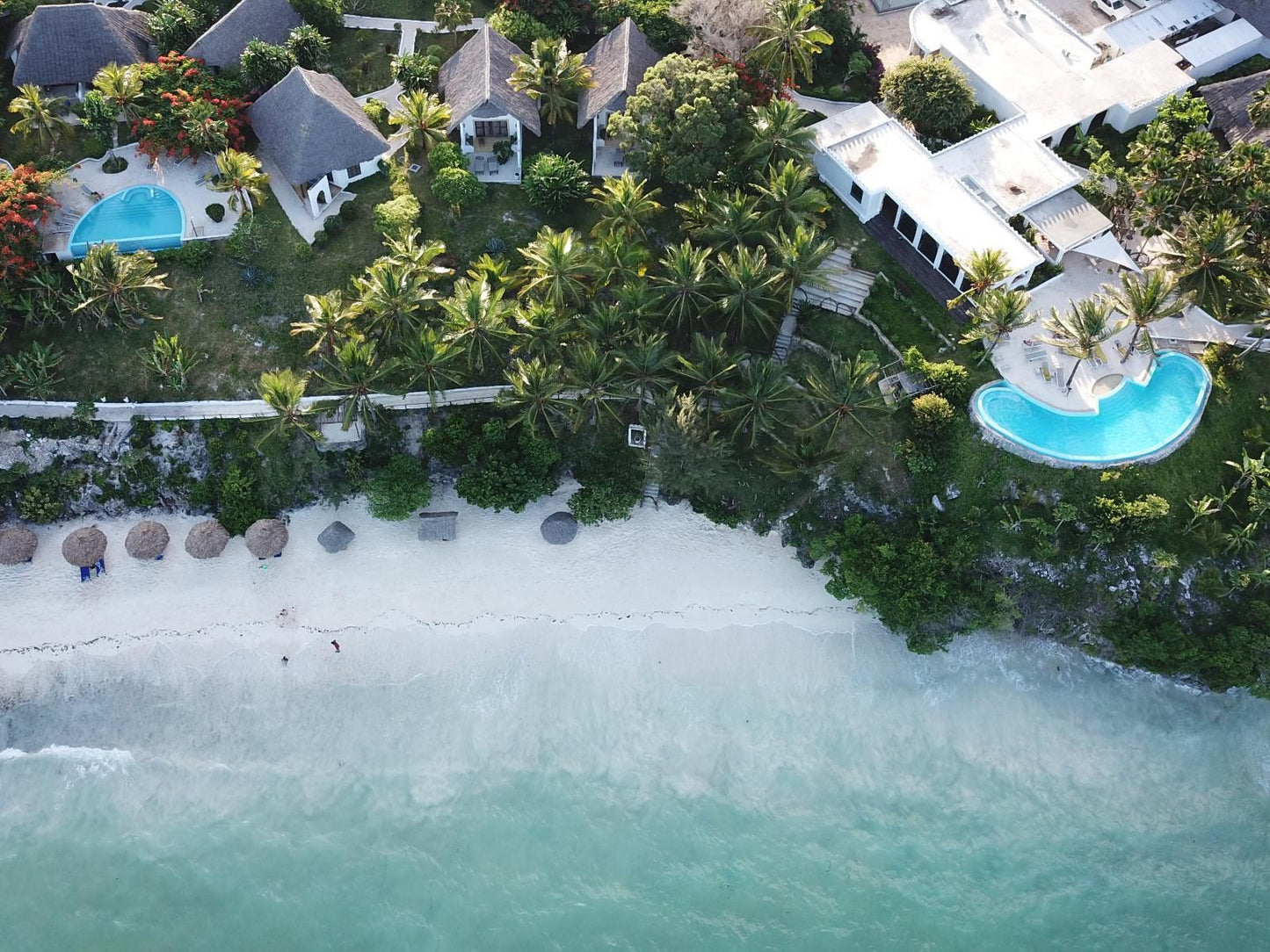 Shooting Star Lodge, Beach, Nature, Sand, Island, Palm Tree, Plant, Wood, Swimming Pool