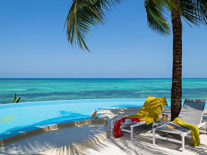 Shooting Star Lodge, Garden Lodge, Beach, Nature, Sand, Island, Palm Tree, Plant, Wood