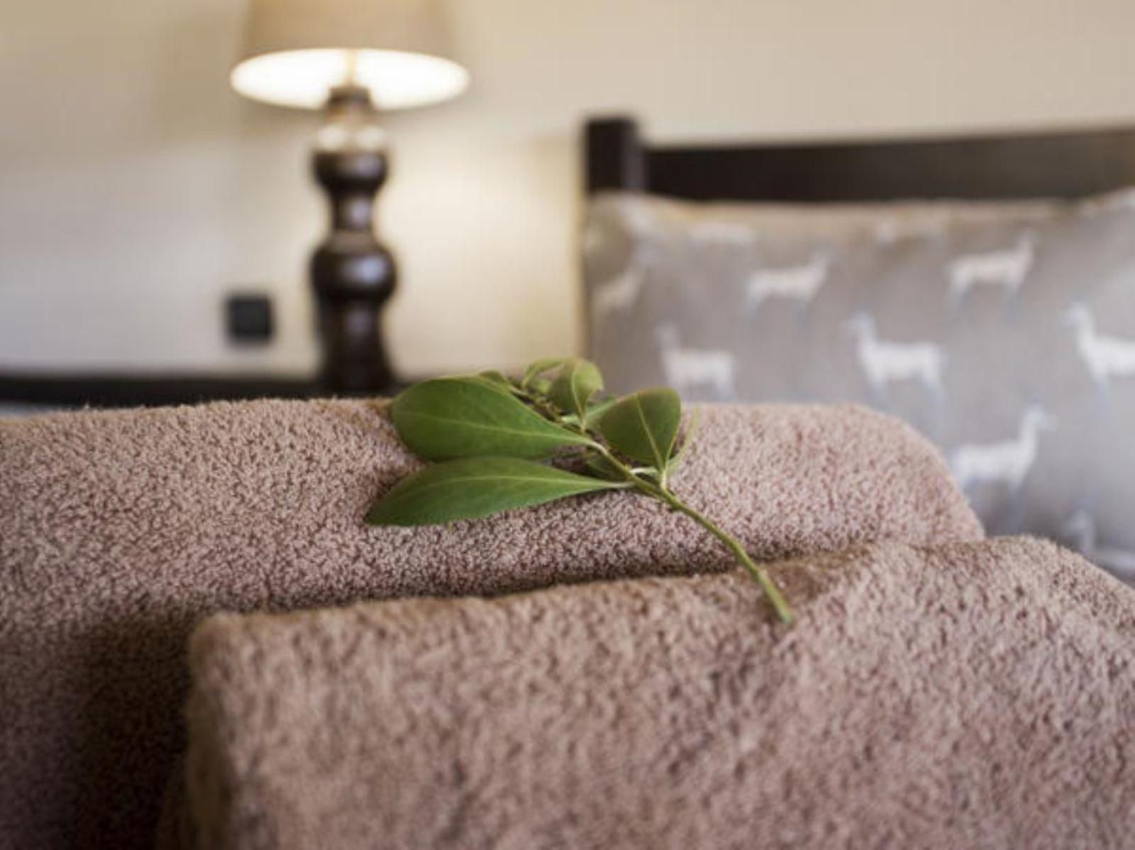 Shoswe Lodge Gravelotte Limpopo Province South Africa Bedroom