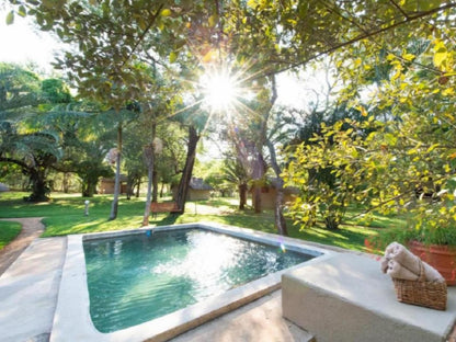Shumba Safari Lodge Hoedspruit Limpopo Province South Africa Garden, Nature, Plant, Swimming Pool
