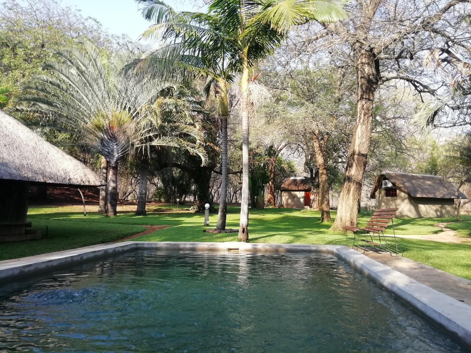 Shumba Safari Lodge Hoedspruit Limpopo Province South Africa Palm Tree, Plant, Nature, Wood, Garden, Swimming Pool