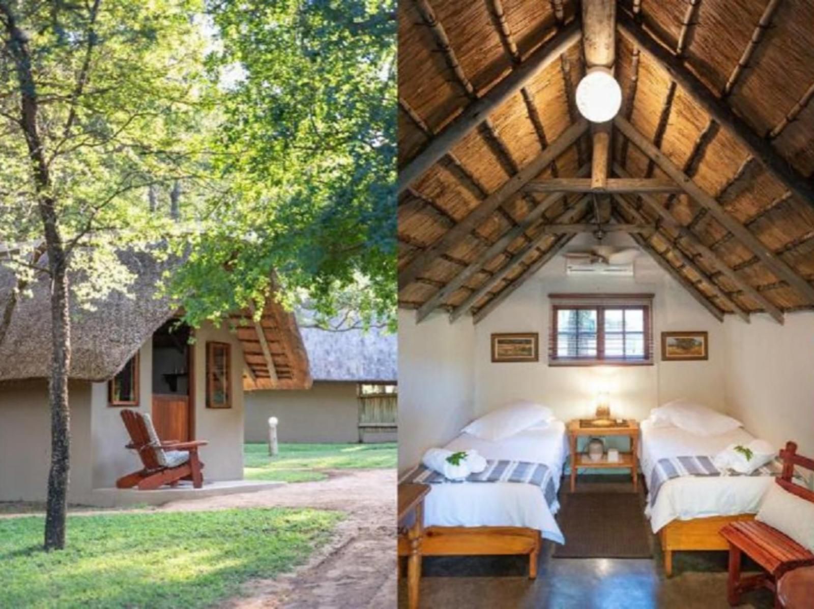 Shumba Safari Lodge Hoedspruit Limpopo Province South Africa Cabin, Building, Architecture, Bedroom