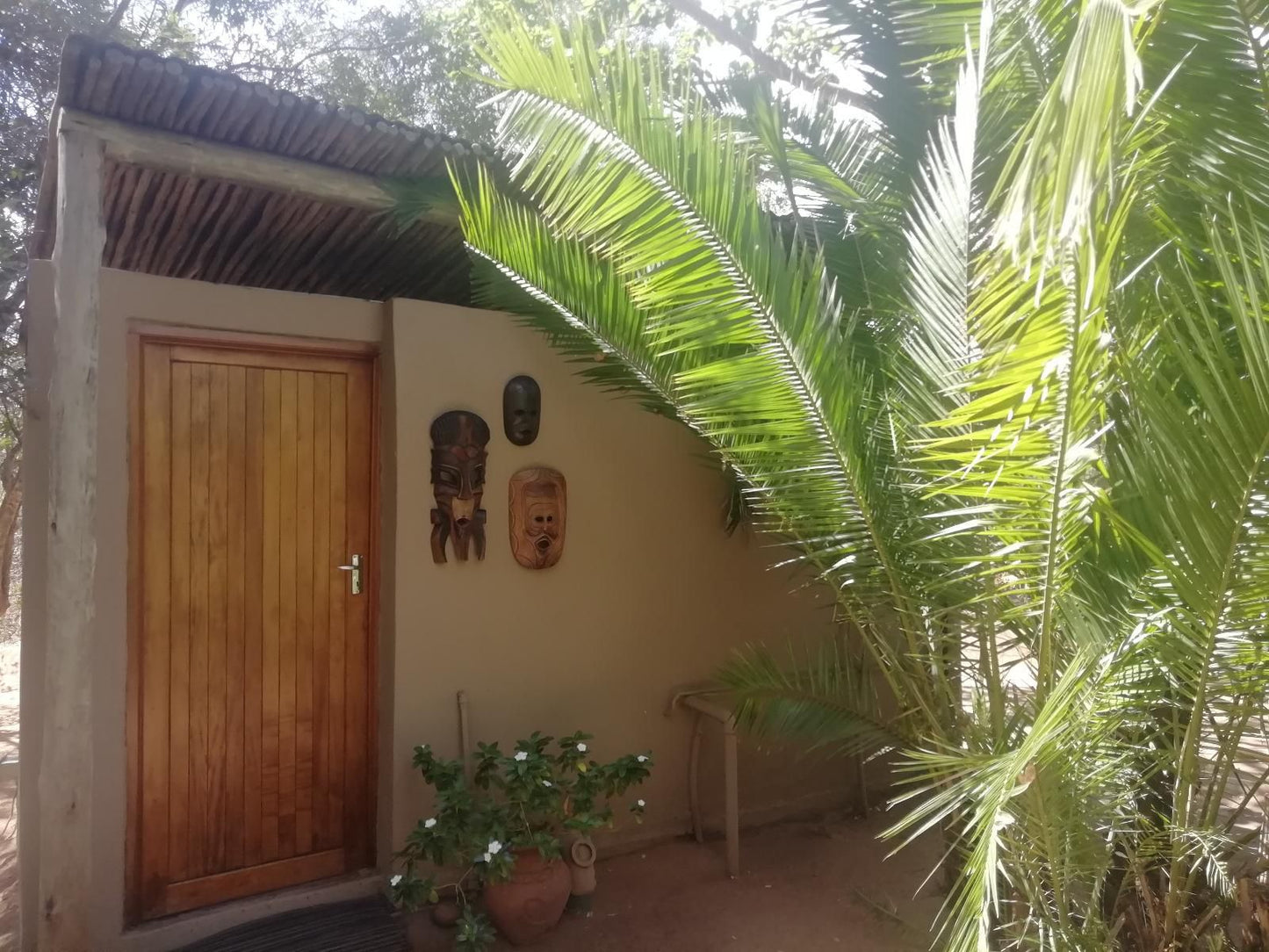Shumba Safari Lodge Hoedspruit Limpopo Province South Africa Palm Tree, Plant, Nature, Wood