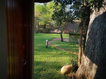 Shumba Safari Lodge Hoedspruit Limpopo Province South Africa Plant, Nature, Tree, Wood