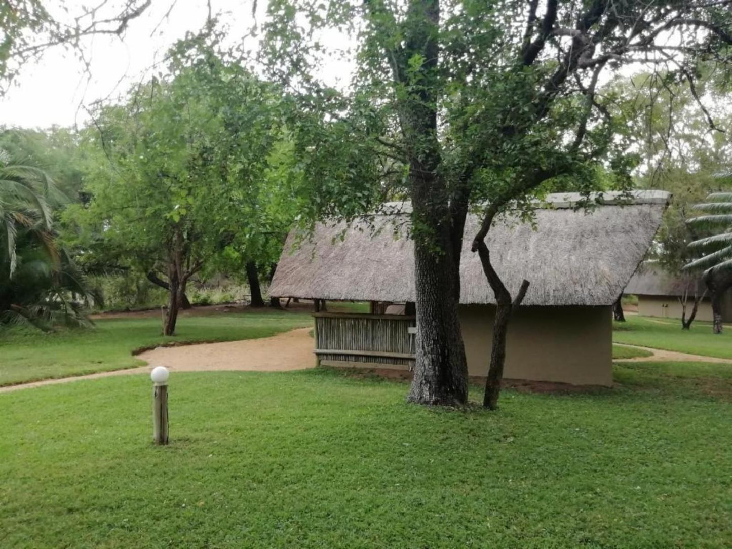 Shumba Safari Lodge Hoedspruit Limpopo Province South Africa Tree, Plant, Nature, Wood