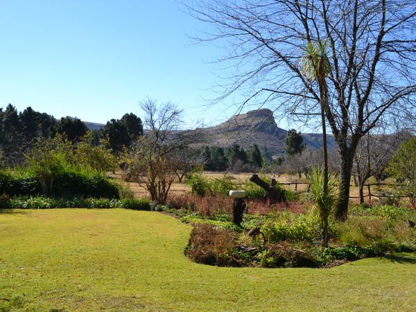 Shumba Valley Guest Farm Fouriesburg Free State South Africa Complementary Colors, Garden, Nature, Plant